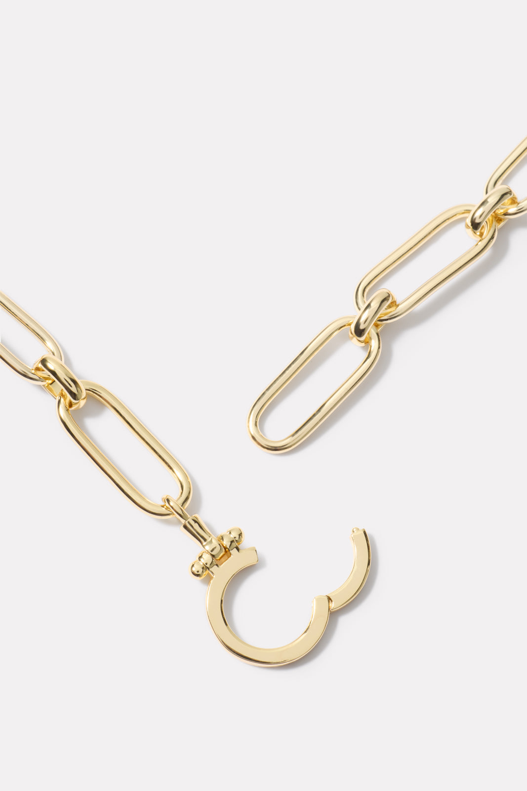 Zoey Statement Link Necklace