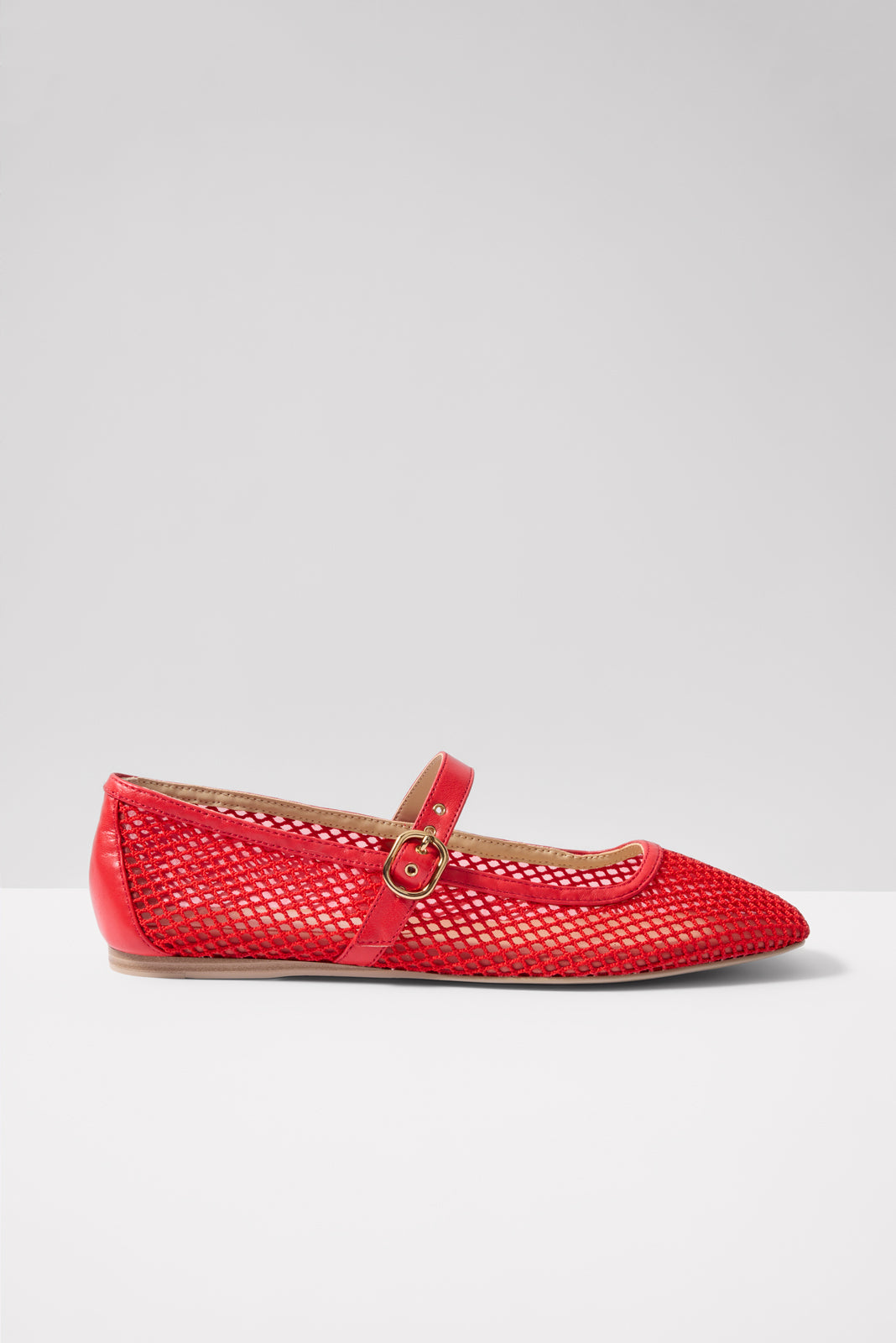Rodni Mesh Mary Jane Flat